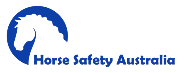 Risk Management – General #HSARMG001
